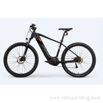 Customized Electric Bike 29 Inch